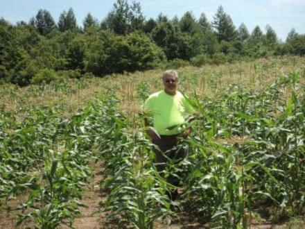 Pastor Terry checking out the sweet corn field at Char-Rose Christian Farm.